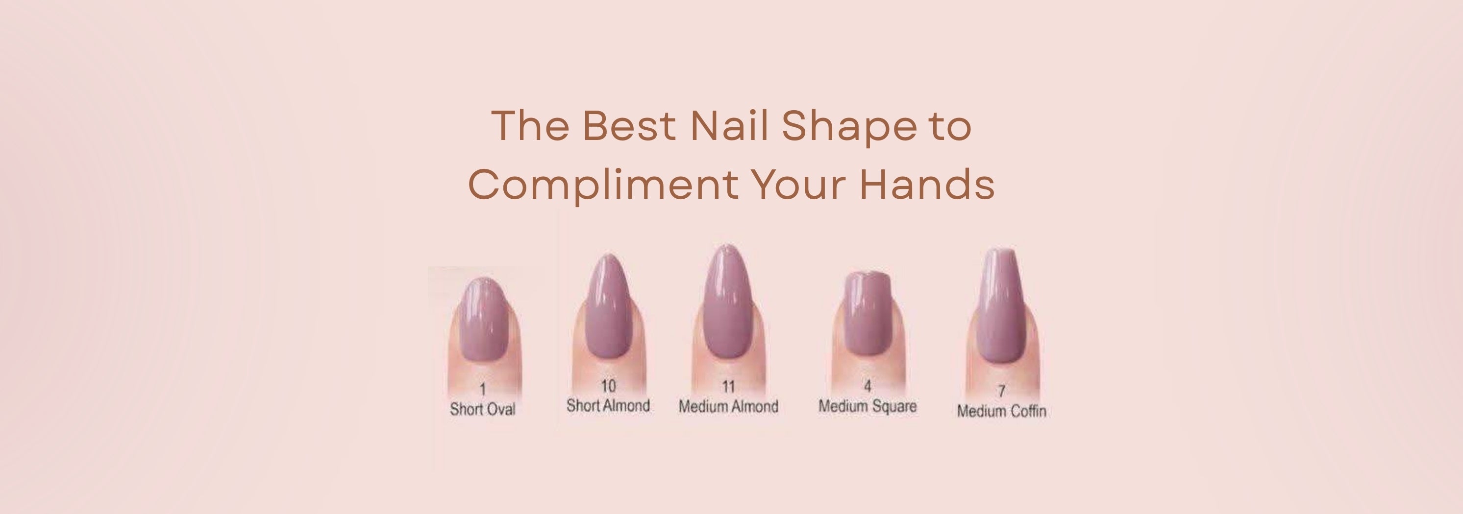 Best Nail Shape Guide: Find Your Perfect Hand Match for 2026 – NEVER ...